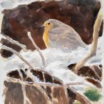 robin
